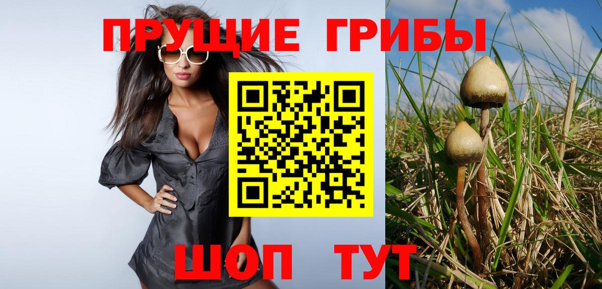 Кинель  Псилоцибиновые грибы мухоморы  где купить   Вход с VPN 